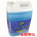 【ドイツ生まれ地球にやさしい洗剤】緑の魔女 トイレ洗剤 5L(3)
