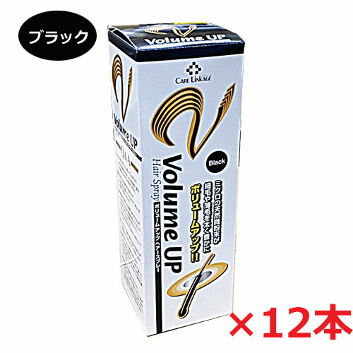 【12本セット】★送料無料★細毛・薄毛をボリュームアップヘアスプレー ブラック 200g×12個（薄毛隠しスプレー）【コンビニ受取対応商品】