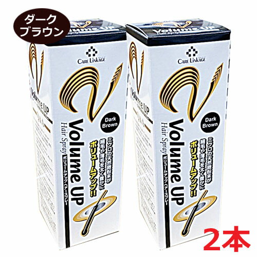 【2本セット】細毛・薄毛をボリュームアップヘアスプレー ダークブラウン 200g×2個（薄毛隠しスプレー）【コンビニ受取対応商品】