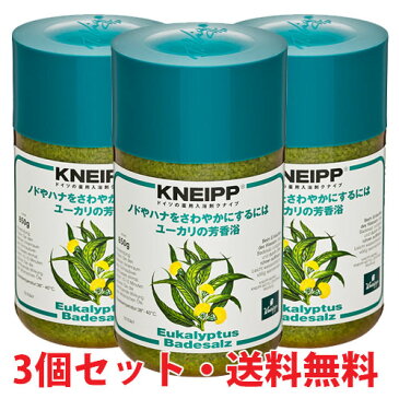 クナイプ バスソルト ユーカリの香り 850g【医薬部外品】×3個