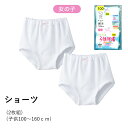 【10%OFFクーポン対象】GUNZE 子供肌着 女児 ショーツ 2枚組 綿100％ ホワイト 女の子用 キッズ ガールズ 白肌着 グンゼ 01-AF57