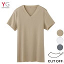 【ゆうパケット送料無料】グンゼ YG CUT OFF(カットオフ)仕様 VネックTシャツ 抗菌防臭【日本製】 01-YV1515