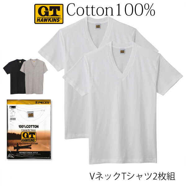 GUNZE G.T.HAWKINS メンズ Vネック Tシャツ 2枚組 綿100％ 天竺素材 V首 グンゼ GTホーキンス ＃Q1 01-HK10152