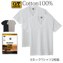 【ポイント10倍】【期間限定 SALE価格】GUNZE G.T.HAWKINS メンズ Vネック Tシャツ 2枚組 綿100％ 天竺素材 V首 グンゼ GTホーキンス ＃Q1 01-HK10152