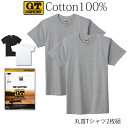 【ポイント10倍】【期間限定 SALE価格】GUNZE G.T.HAWKINS メンズ クルーネックTシャツ 2枚組 綿100％ 天竺素材 丸首 グンゼ GTホーキンス ＃Q1 01-HK10132