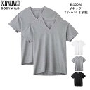 【期間限定SALE■】【クーポン対象】GUNZE BODY WILD メンズ Vネック Tシャツ 2枚組 グンゼ ボディワイルド 01-BW5015