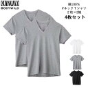 【期間限定SALE■】【クーポン対象】【送料無料】GUNZE BODY WILD メンズ Vネック Tシャツ 2枚×2組 4枚セット グンゼ ボディワイルド 0...