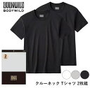 【期間限定SALE■】【クーポン対象】GUNZE BODY WILD メンズ 綿100% クルーネック Tシャツ 2枚組 グンゼ ボディワイルド 01-BW50...