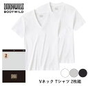 【期間限定SALE■】【クーポン対象】【メール便送料無料】GUNZE BODY WILD メンズ 綿100% Vネック Tシャツ 2枚組 グンゼ ボディワイルド...
