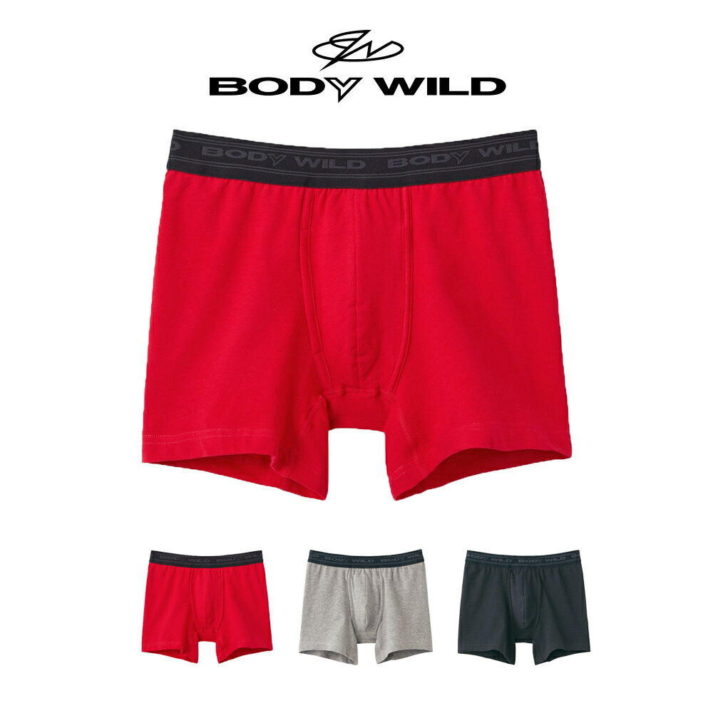 GUNZE BODY WILD STANDARD メンズ ベア天竺 ボクサーパンツ 無地 前あき 綿混 グンゼ ボディワイルド スタンダード ＃W2Q2 01-BWB085J[M便 1/2]