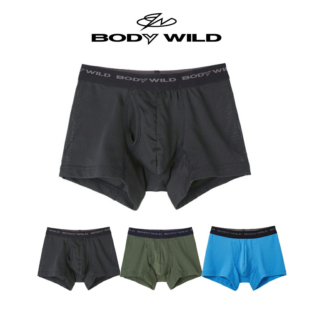 ボクサーパンツ メンズ（1000円程度） 【ポイント10倍】【期間限定 SALE価格】GUNZE BODY WILD STANDARD メンズ ボクサーパンツ メッシュボトム 前あき 無地 グンゼ ボディワイルド スタンダード ＃W2Q2 01-BWB084J