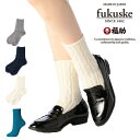 fukuske ApJ E[ P[u N[\bNX 22-24cm C  42-3263-616