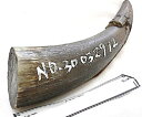 水牛角。疑似餌材料。プロ用(漁師)。本オランダ水牛の角。長さ、19cm・切断面、約4.6×4.1cm・重さ、約169g。南西諸島海用。宅配便。