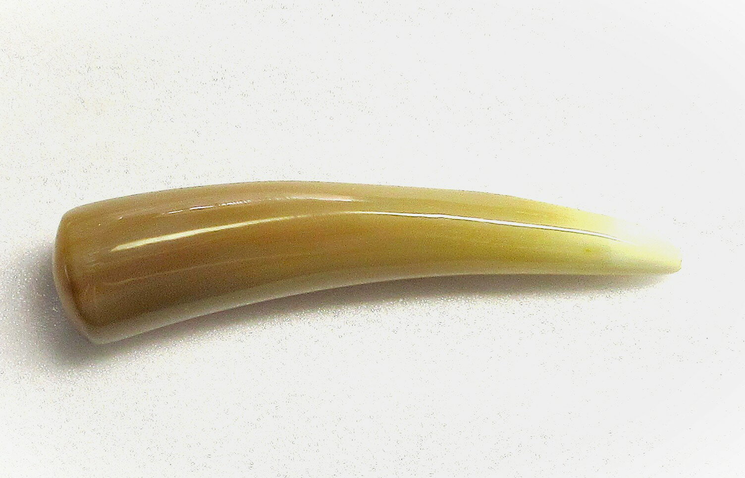 水牛かっさ棒材。貴婦人のかっさ棒材。携帯用・極上赤黄金（天然色）・直径19×18m/m・鏡磨き・長さ82m/m・本オランダ水牛角。二つの画像は同一のものです。日本製。ゆうパケット便。