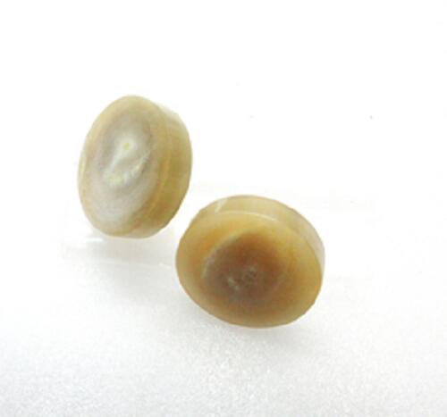 水牛（角）ボタン、足付22。特上ベージュ（天然色）・直径22m／m・厚み9m／m（胴部5m／m・足部4m／m）..