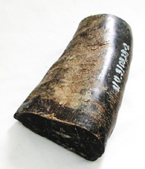 水牛角、ロウ付きカブト材。長さ130m／m・切り口（大）67×366m／m・切り口(小）51×32.5m／m・238g。角先と穴の部分をカット。加工方法在中。日本製。宅配便のみ。