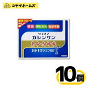 【第2類医薬品】恵命我神散 100g 4袋入〔10セット〕