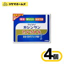 【第2類医薬品】恵命我神散 100g 4袋入〔4セット〕