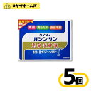 【第2類医薬品】恵命我神散 100g 4袋入〔5セット〕