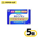 【第2類医薬品】恵命我神散S 3g 120包〔5セット〕