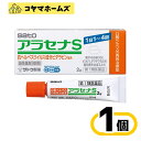 【第1類医薬品】アラセナS 2g 軟膏(セルフメディケーション税制対象)〔口唇ヘルペス治療薬〕
