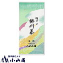 深むし掛川茶 100g 袋入