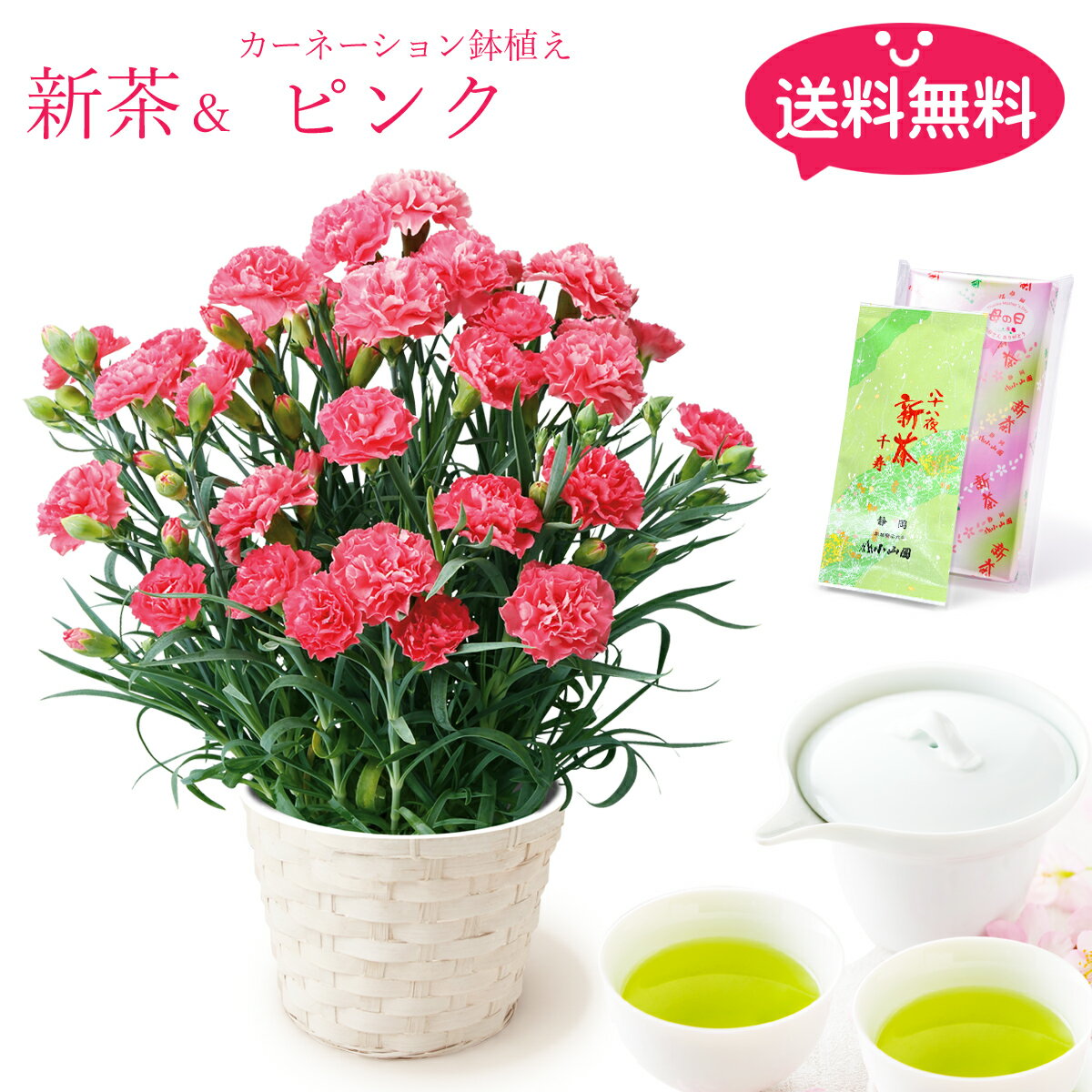 小山園 母の日八十八夜新茶＆カーネーション鉢植え (ピンク) セット【母の日限定】【送料無料】【日時指定不可】【母の日までにお届け】【ポイント10倍】