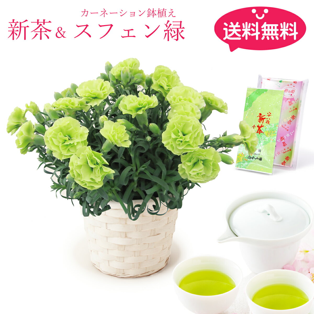 Rakuten - 小山園 母の日八十八夜新茶＆カーネーション鉢植え (スフェン緑) セット【母の日限定】【送料無料】【日時指定不可】【母の日までにお届け】【ポイント10倍】