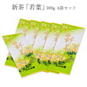 【通信販売限定】新茶「若葉」 100g 袋入 5+1セット【走り新茶】【5月上旬発売予定】【実店舗販売なし】