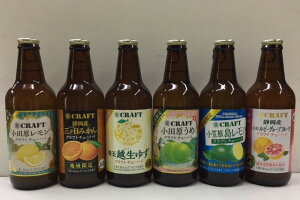 クラフトチューハイ 地域限定品 飲み比べ 6種類×2本 12本セット 小田原レモン 浜松ルビーグレープフルーツ 小笠原島レモン 埼玉産越生ゆず 静岡産三ケ日みかん 小田原うめ クラフトチューハイ 宝 タカラ 寶CRAFT