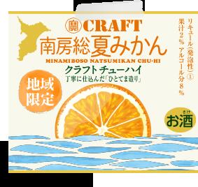 クラフトチューハイ 地域限定品 静岡産 三ケ日みかん 南房総夏みかん 330ml 各6本入り 12本セット 寶CRAFT タカラ 宝 みかんセット