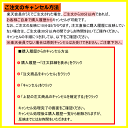 【エントリーでポイント10倍｜5/1(水)10時まで】開運招福 幸運を運ぶ神の樹の香り パロサント香 スティック型 ショート8cm 21本入 【国内製造 日本製 お線香 お香 ばら詰 バラ詰め palosanto】