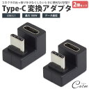 Type-C 変換アダプタ 2個セット U字型 USB 3.1 最大100W データ通信 映像信号対応 角度変換 簡単接続 小型 充電 U型(2)