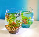水の森(熱帯魚飼育セット)