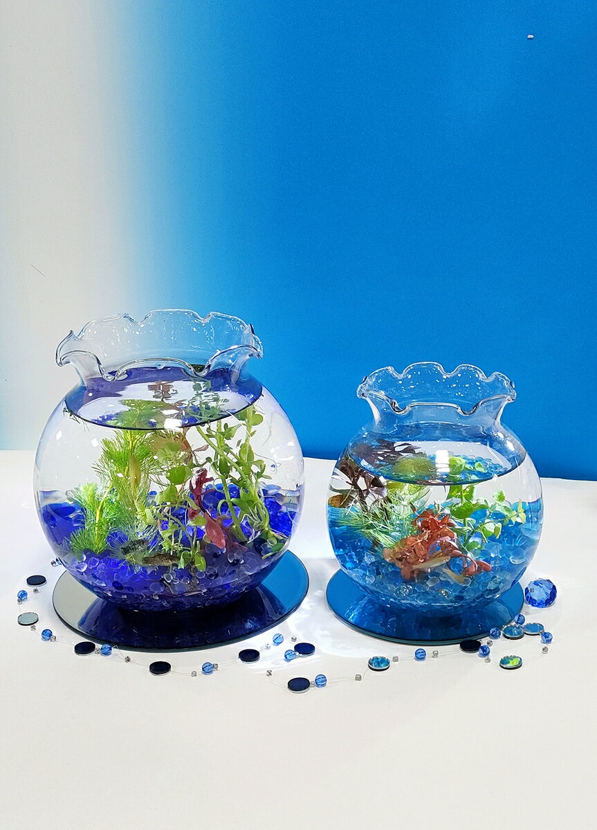 ポラン中(ガラス容器のみ)熱帯魚水槽 アクアリウム メダカ [2]
