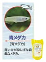 国産熱帯魚付バイオーター青メダカ 小研究所で育てた寒さに強い熱帯魚 生きている水「バイオーター」は抗酸化力が有り、腐りにくいためエアポンプやろか器無しで熱帯魚や水草の世界が楽しめます。今ならバイオーター800cc1本に付国産熱帯魚2匹程度サービスしています。 2