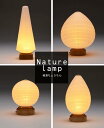 ■インテリア行灯 Nature lamp 蕾・果実・種 コードレス  盆提灯 盆ちょうちん モダン提灯行灯 お盆 初盆　お供え 贈答 あかり 仏具 モダン