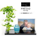 ■ミニ骨壺専用ステージ|ソウルステージ 【プレッソ】 フォトタイプ- Soul Stage PRESSO -【国産品】【ミニ仏壇】【仏具】 【モダン仏具】 【メ...