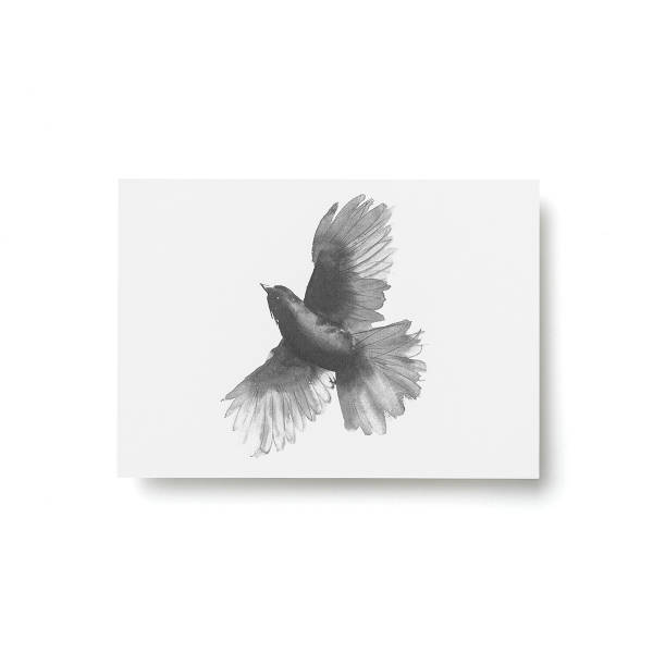 Teemu Jarvi (テーム・ヤルヴィ) Postcard (ポストカード) SIBERIAN JAY (アカオカケス) A6 (10.5×14.8cm) 北欧/インテリア/日本正規代理店品/ポスター【メール便】