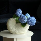 ڼȯferm LIVING (եӥ) Shell Pot(ݥå) եۥ磻 ̲/ƥꥢ//ե١/ȭ