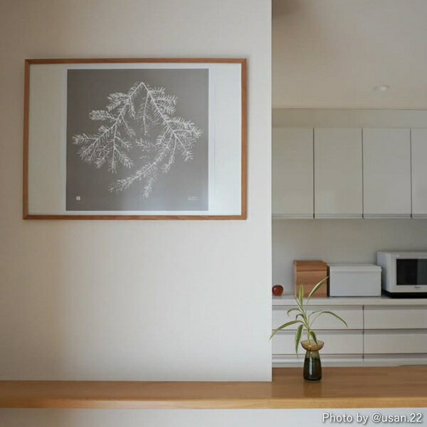 Teemu Jarvi (テーム・ヤルヴィ) ポスター Spruce Branch(スプルースブランチ) 50×50cmグレージュ フォ..