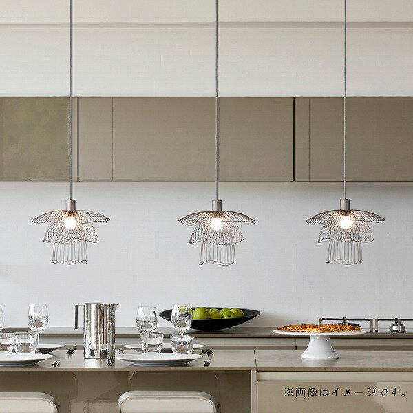 �ڤ����󤻡�FORESTIER (�ե��쥹�ƥ���) SUSPENSION PAPILLON/�����ڥ󥷥�� �ѥԥ��� XS �����ѥ󥴡����/�ۥ磻��