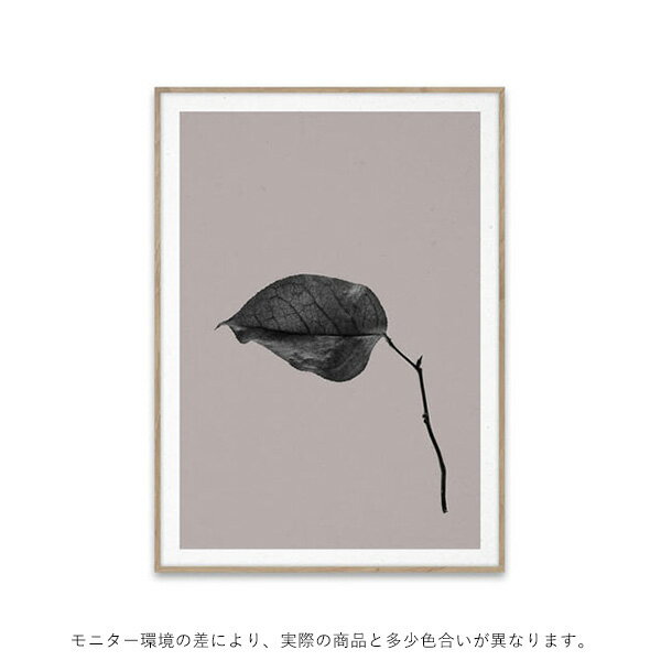 【受注発注】Paper Collective (ペーパーコレクティブ) ポスター 30×40cm Sabi Leaf 03