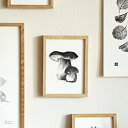 Teemu Jarvi (テーム・ヤルヴィ) ポスター PORCINI MUSHROOM (ポルチーニ茸) A5 (14.8×21cm) 北欧/インテリア/日本...