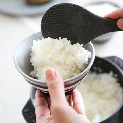 KOZ茶碗ボーダー