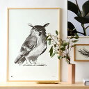 Teemu Jarvi (テーム・ヤルヴィ) ポスター OWL (ワシミミズク) 50×70cm 北欧/インテリア/日本正規代理店品