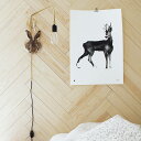 Teemu Jarvi (テーム・ヤルヴィ) ポスター ROE DEER (ノロジカ) 50×70cm 北欧/インテリア/日本正規代理店品