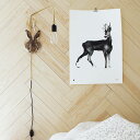 Teemu Jarvi (テーム・ヤルヴィ) ポスター ROE DEER (ノロジカ) 50×70cm 北欧/インテリア