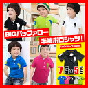 韓国子供服 ポロシャツ 半袖【BIGバッファロー右腕8キッズ ジュニア半袖ポロシャツ】韓国子供服 男の子 女の子100cm 110cm 120cm 130cm 140cm 150cm 160cm 子供服 男の子 女の子 半袖Tシャツ韓国子供服 フォーマル 結婚式 卒業式 入学式 無地 学生服 白 黒
