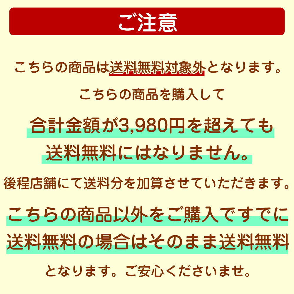 プレゼント用 ギフトラッピング プレゼント お祝い パーティ 誕生日 袋 リボン ギ...